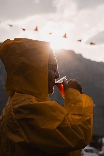 pexels-photo-28682307