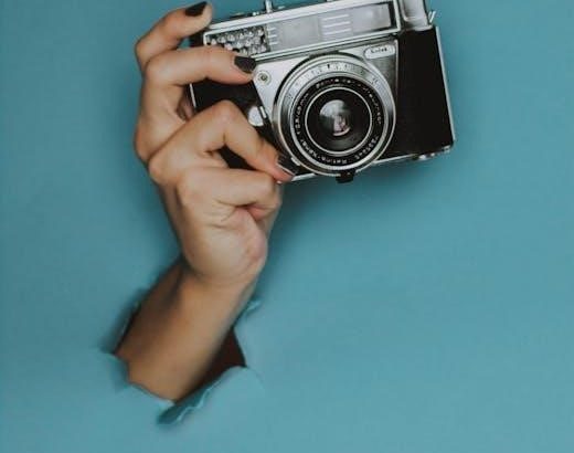 pexels-photo-2787216
