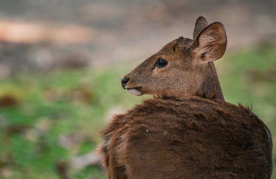 pexels-photo-30861272