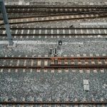 pexels-photo-15484564