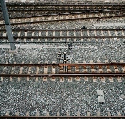 pexels-photo-15484564