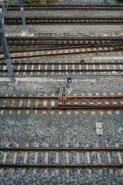 pexels-photo-15484564