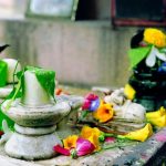 pexels-photo-34510766