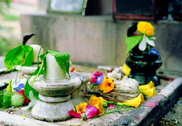 pexels-photo-34510766