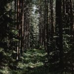 pexels-photo-6420131