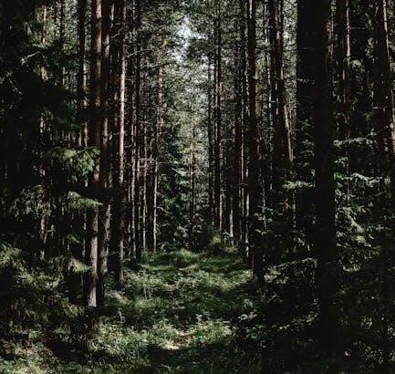 pexels-photo-6420131