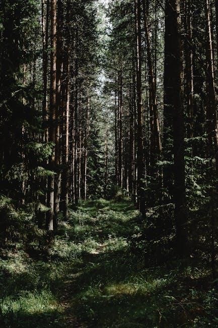 pexels-photo-6420131