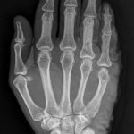 pexels-photo-35053995