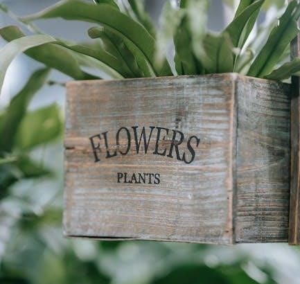 pexels-photo-9412425