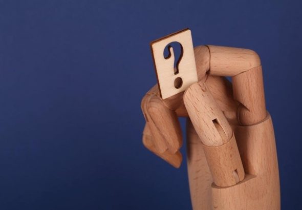 pexels-photo-10981242