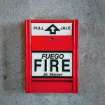 pexels-photo-12222676