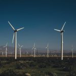 pexels-photo-15418504