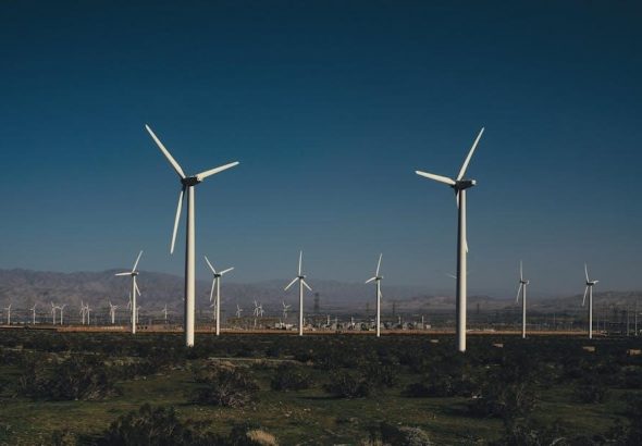 pexels-photo-15418504