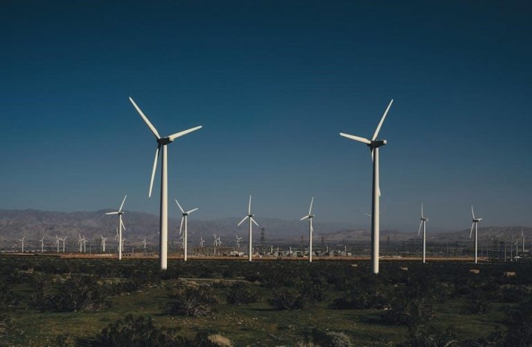 pexels-photo-15418504