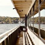 pexels-photo-31834775