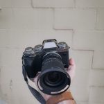 pexels-photo-15083668